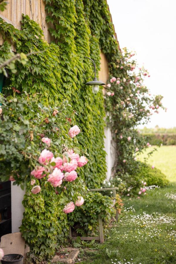 La Casa Vecchia B&B Camisano Vicentino Eksteriør bilde