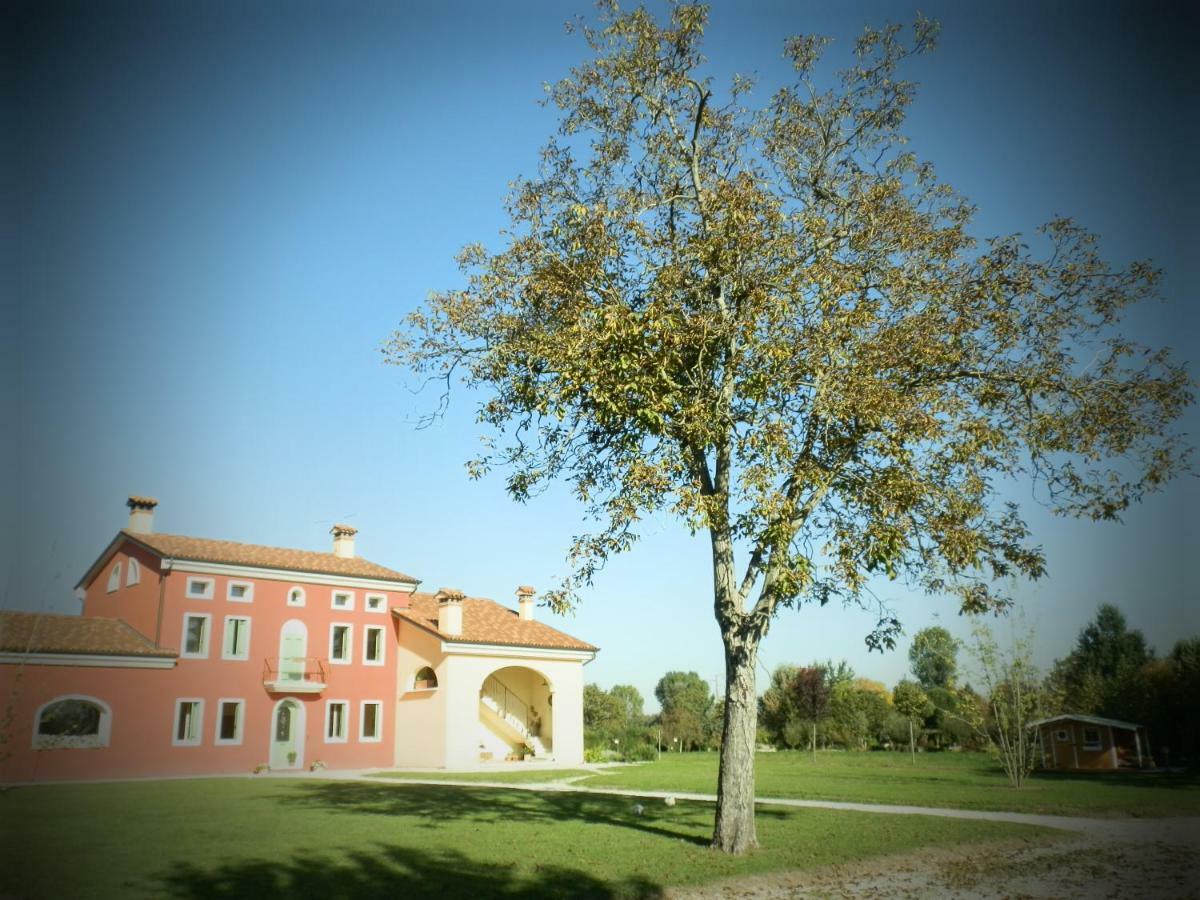 La Casa Vecchia B&B Camisano Vicentino Eksteriør bilde