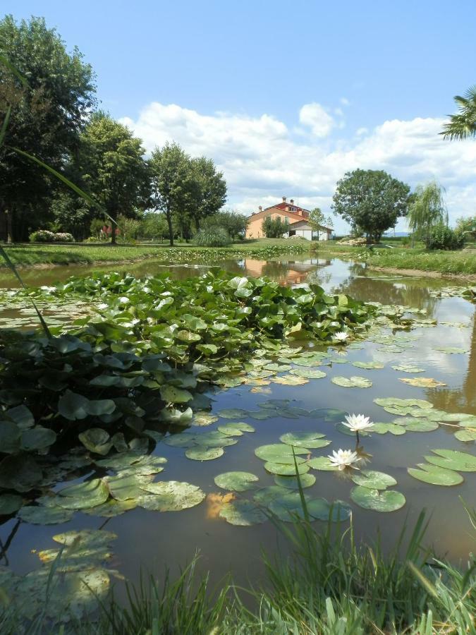 La Casa Vecchia B&B Camisano Vicentino Eksteriør bilde